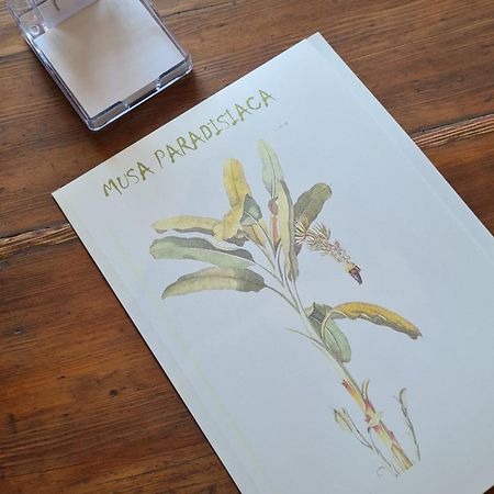 Musa Paradisiaca 6, Un Angolo Tropicale A Torino Esterno foto